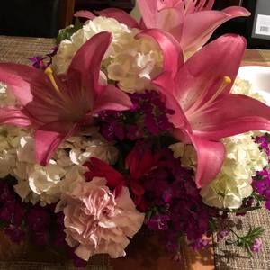 Meet your Posher, Norma